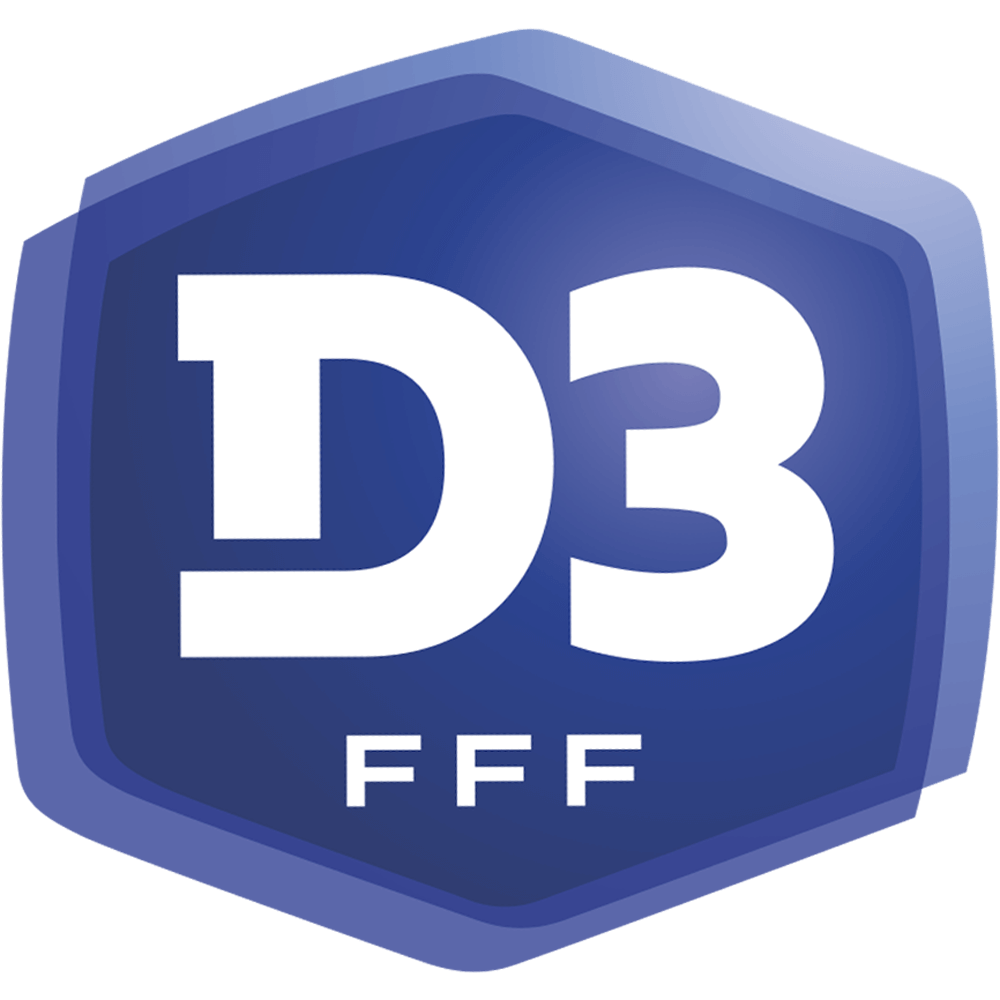 Logo Feminines D3